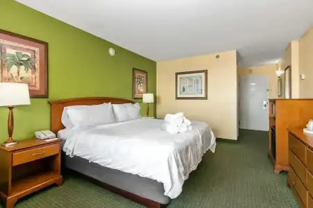 Holiday Inn & Suites Clearwater Beach by IHG - 118