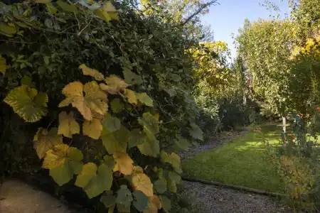 Al Porto di Lucca B&B - 15