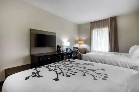 Sleep Inn & Suites Tampa South - 27