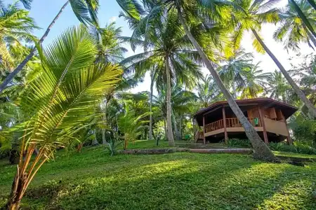 Palm Paradise Cabanas & Villas Beach Resort Tangalle - 35