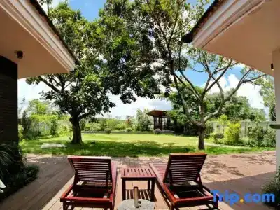Huizhou Migratory Birds Resort - 93