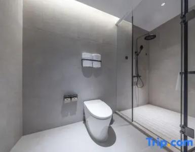 Atour Light Beijing National Exhibition Center Yonghe Palace Guangximen Metro Station - 85