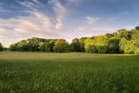 ParkBremen - 82