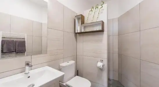 Barok and Apartments - 8