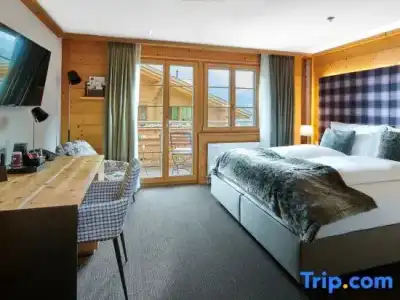 Aspen alpin lifestyle Grindelwald - 48