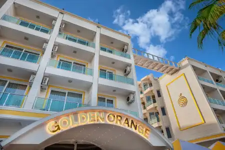Golden Orange - 22