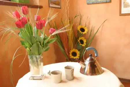 Il Colombaino - 25