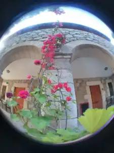 Eski Datca Pansiyon Cafe - 16