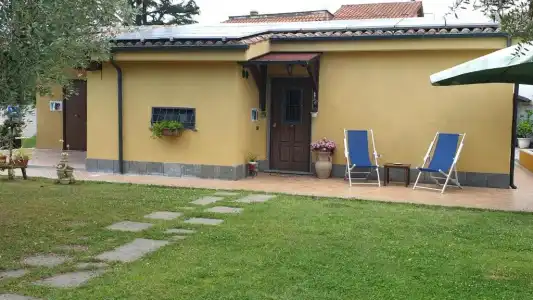 L'Antico Vigneto - 20