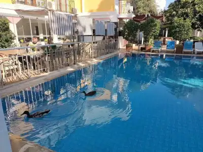 Barlas Fethiye - 22