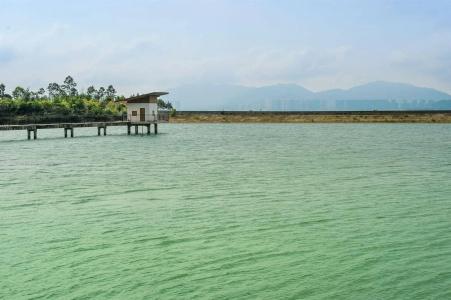 Island Skylight Resort - 8