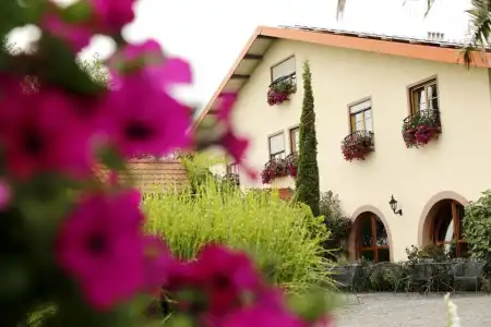 Villa Hochdörfer Gästehaus - 1