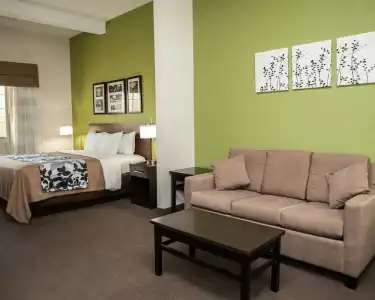 Sleep Inn & Suites Harrisburg - Hershey North - 49