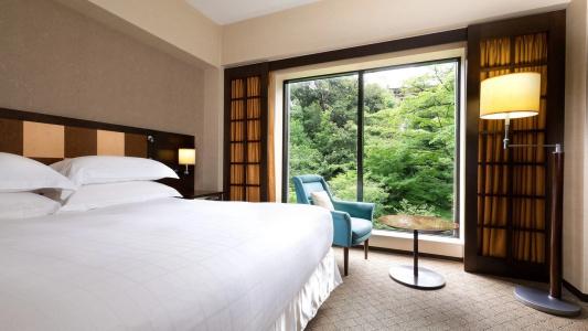 Sheraton Miyako Tokyo - 81