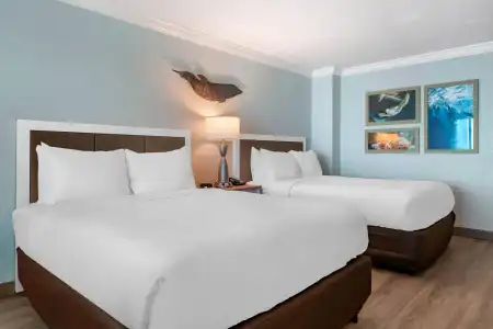 Dolphin Sands Clearwater Beach, an Ascend Collection - 128