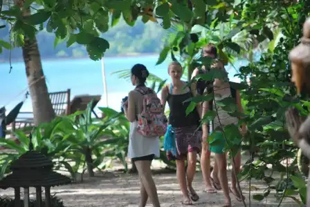 Bamboo Bungalows - 15