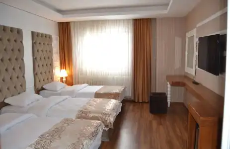 Sarikamis Snowflake Dağ Oteli - 45