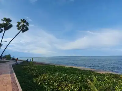 Pattawia Resort & Spa - 16
