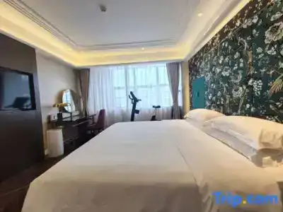 Metropolo Guangzhou Wanda Plaza Baiyun Mountain - 54