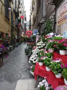 Non ci resta che Napoli - 13