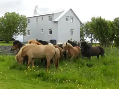 Farmer's Guest House - 38