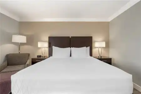 Best Western Plus LA Mid Town - 41