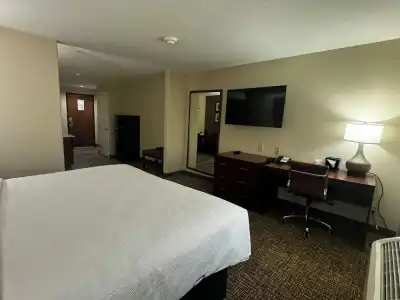Wingate by Wyndham College Station South - 74