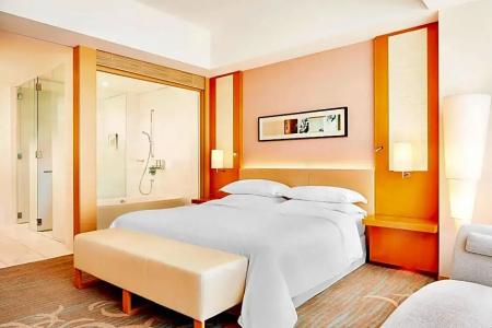 Sheraton Grand Hiroshima - 60