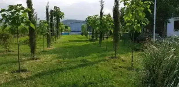 Shaloshvili's Cellar - 3