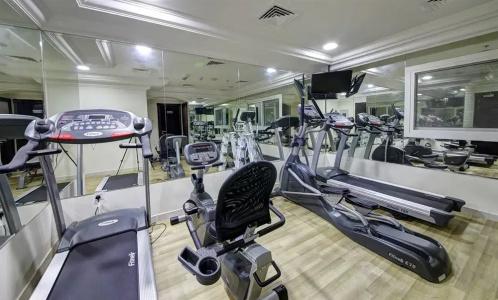 Icon Delux Apartments Al Barsha - 16