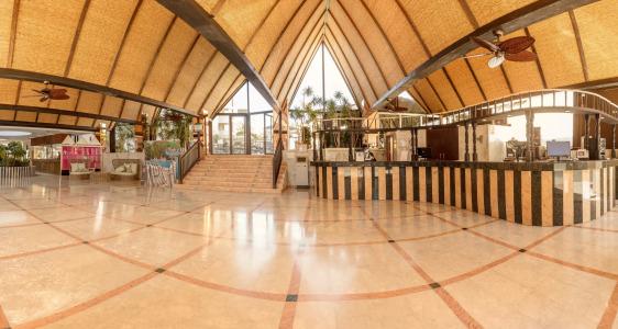 Magic Tropical Splash - 30