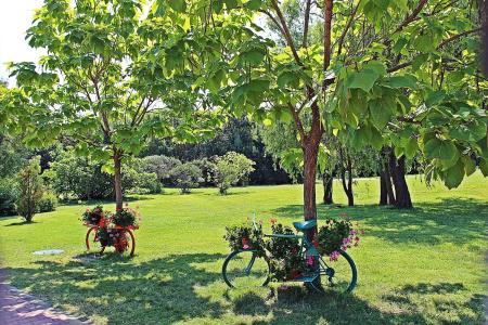 Duni Royal Holiday Village - All Inclusive - 16