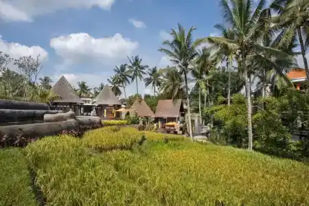 Green Field Resort - 120