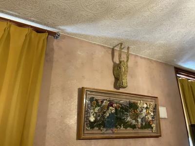 Little Barrel Guest House - 17