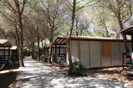 Camping Village Il Sole - 51