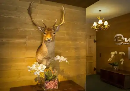 Bernerhof Grindelwald - 25