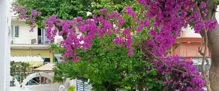 Villa Fortin Pansiyon - 29