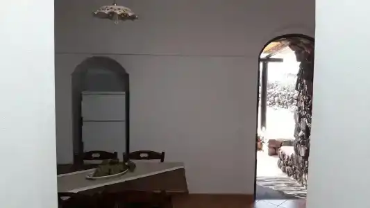 Agriturismo Zibibbodoro - 100