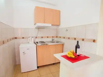 Apartments Viktorija - 16