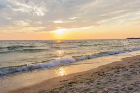 Sea Crest Beach Resort - 83
