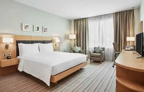 Hilton Garden Inn Dubai, Mall Avenue - 7