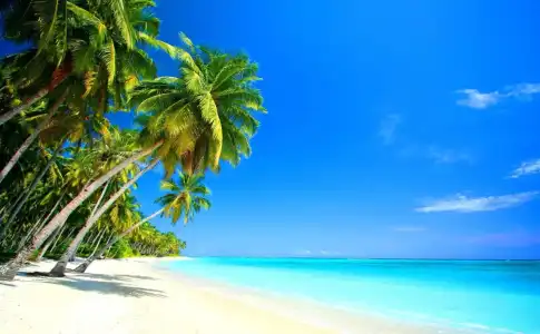 Beach Villa - 24