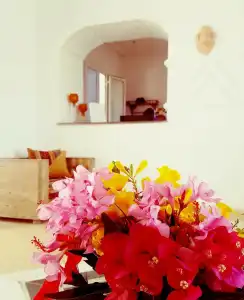 Dar Mezraya Jerba - 4