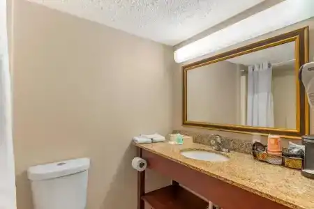 Ramada Lansing and Conference Center - 9