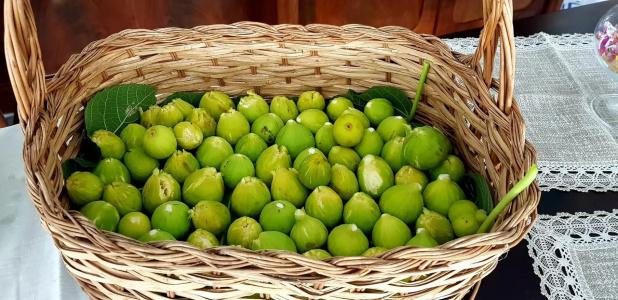 Myrtus Agropoli - 44
