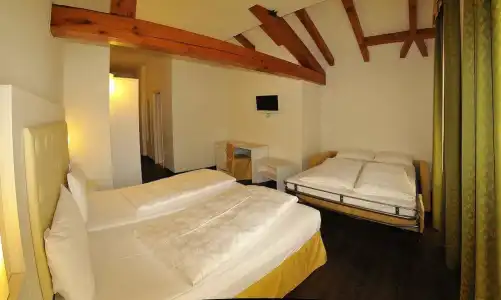 Alpen Eghel - 27