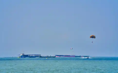 Floral Dolphin Circle Pattaya - 37