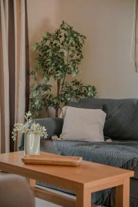 Daluz Boutique - 232