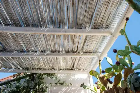 B B Casa Dorsi - 52