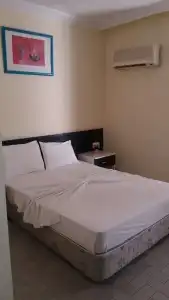 Delphin Side - 38